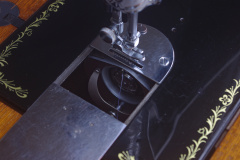 IMGP7886