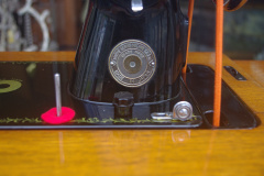 IMGP7910