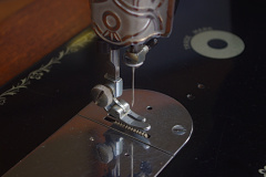 IMGP8129_01