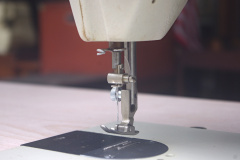 IMGP7953_01