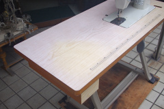 IMGP7957_01